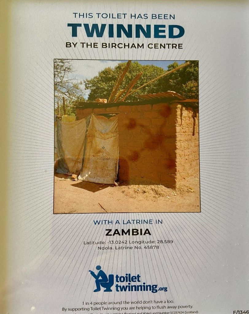 Twinned Toilet