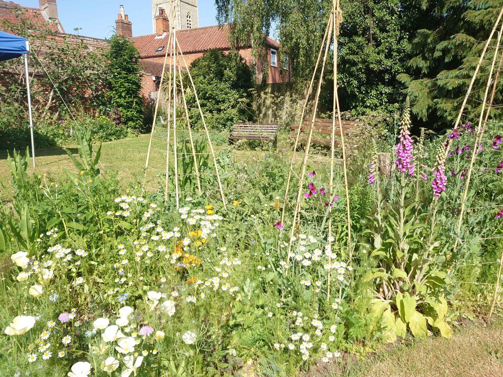 Garden with Pollinator Bed