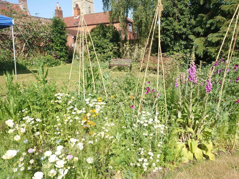 Garden with Pollinator Bed