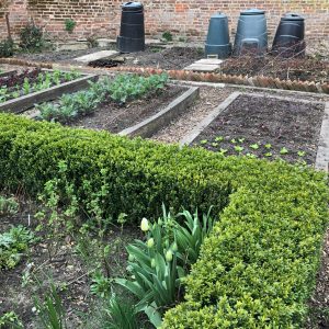 The Bircham Centre Garden