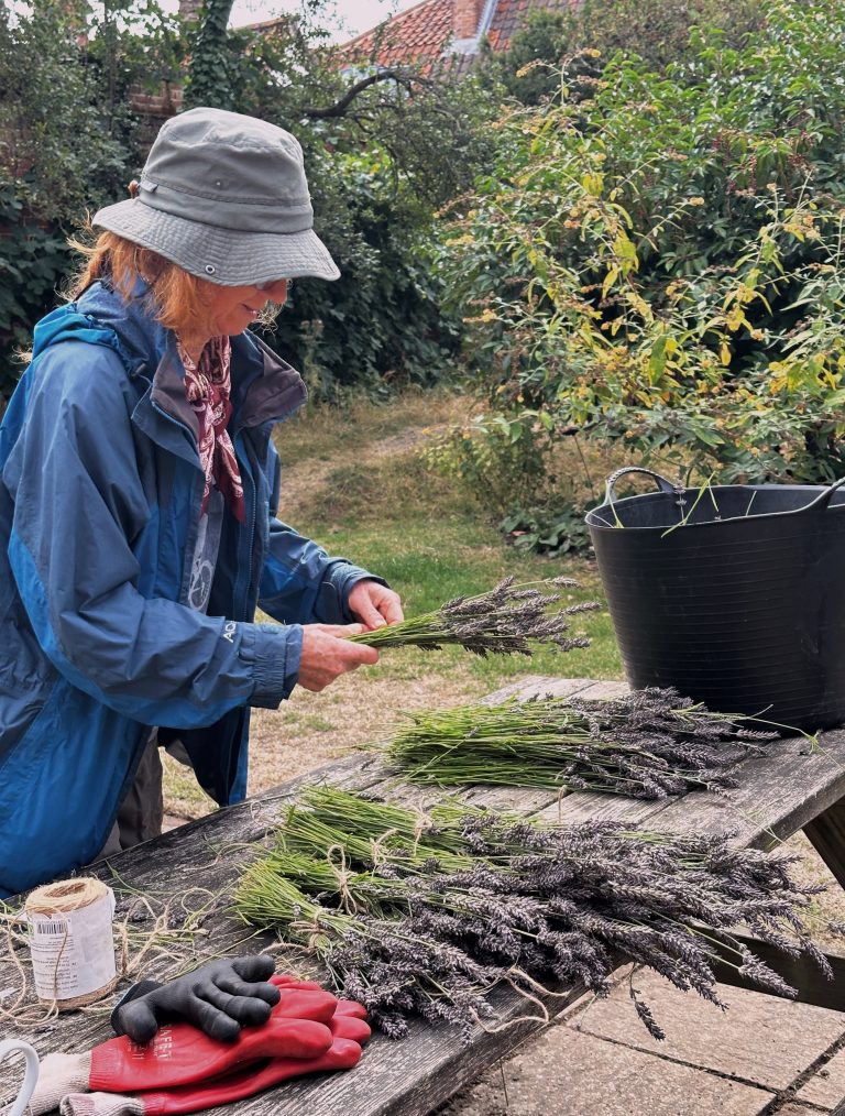 Garden volunteer at work